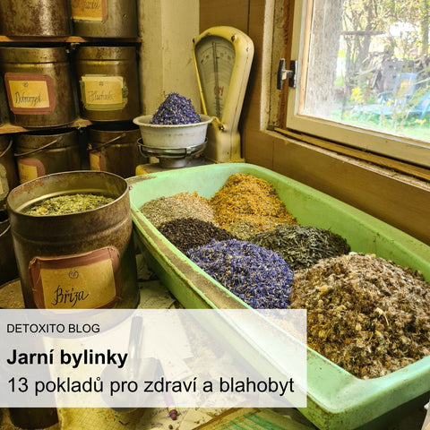 Jarní bylinky