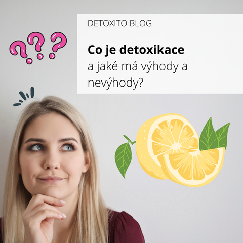 Co je detoxikce